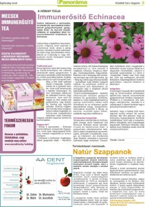 Panorama magazin_február_3oldal