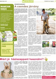 Panorama magazin_április_3oldal